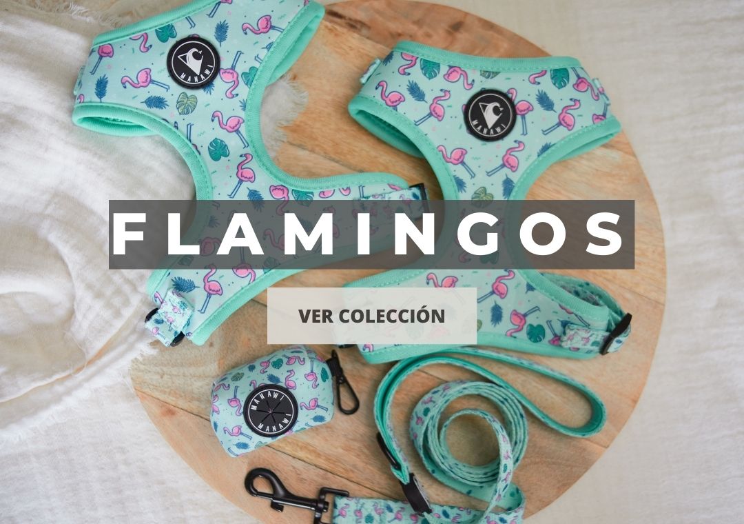 Colección Flamingos