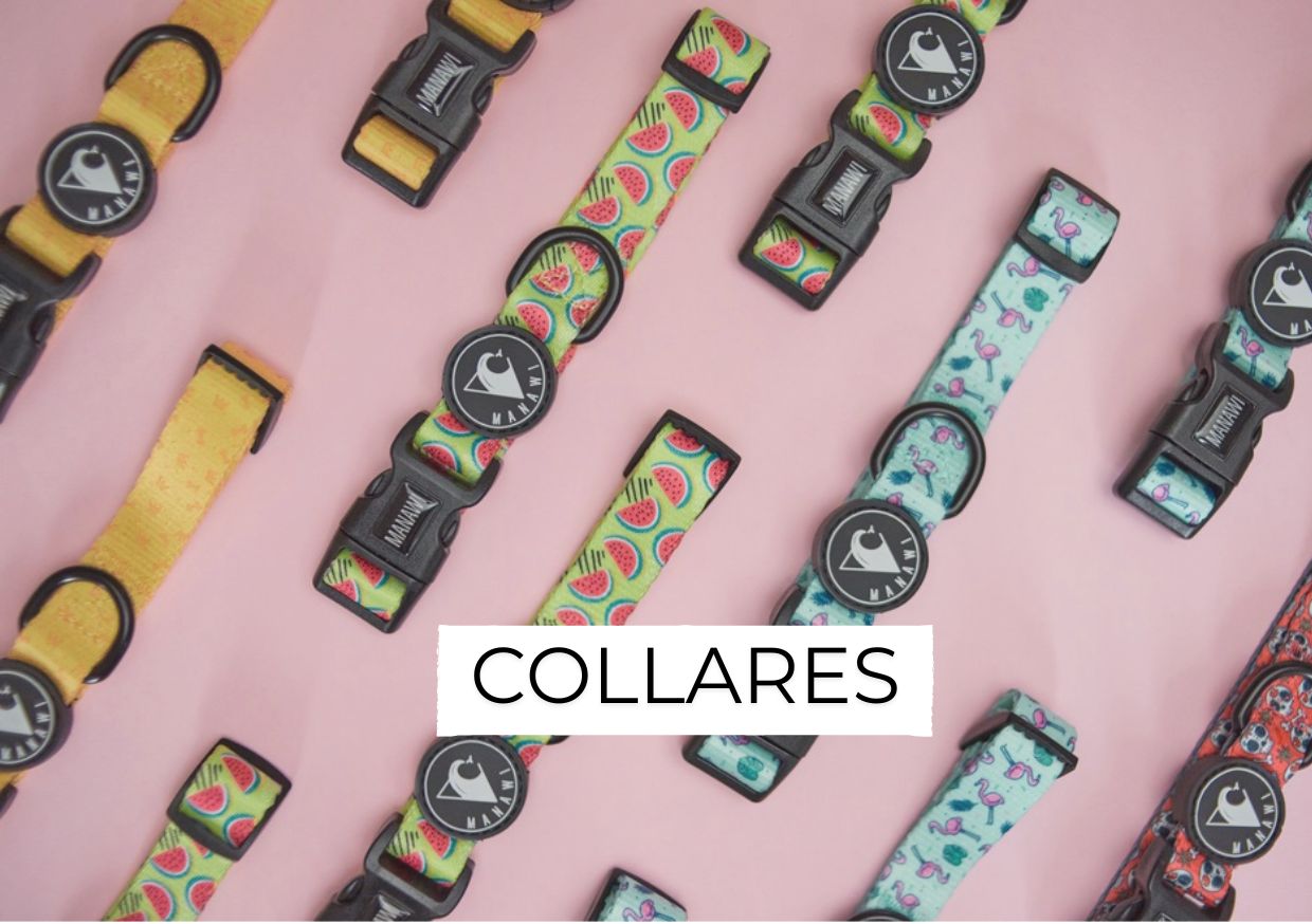 Collares