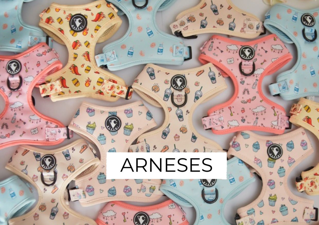 Arneses