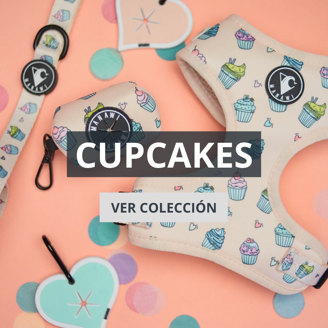 Colección Cupcakes