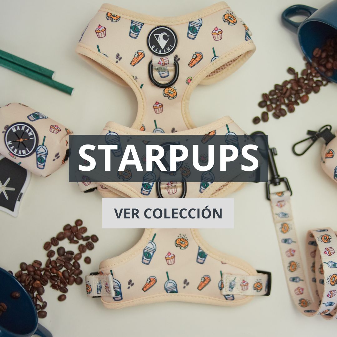 Colección Starpups