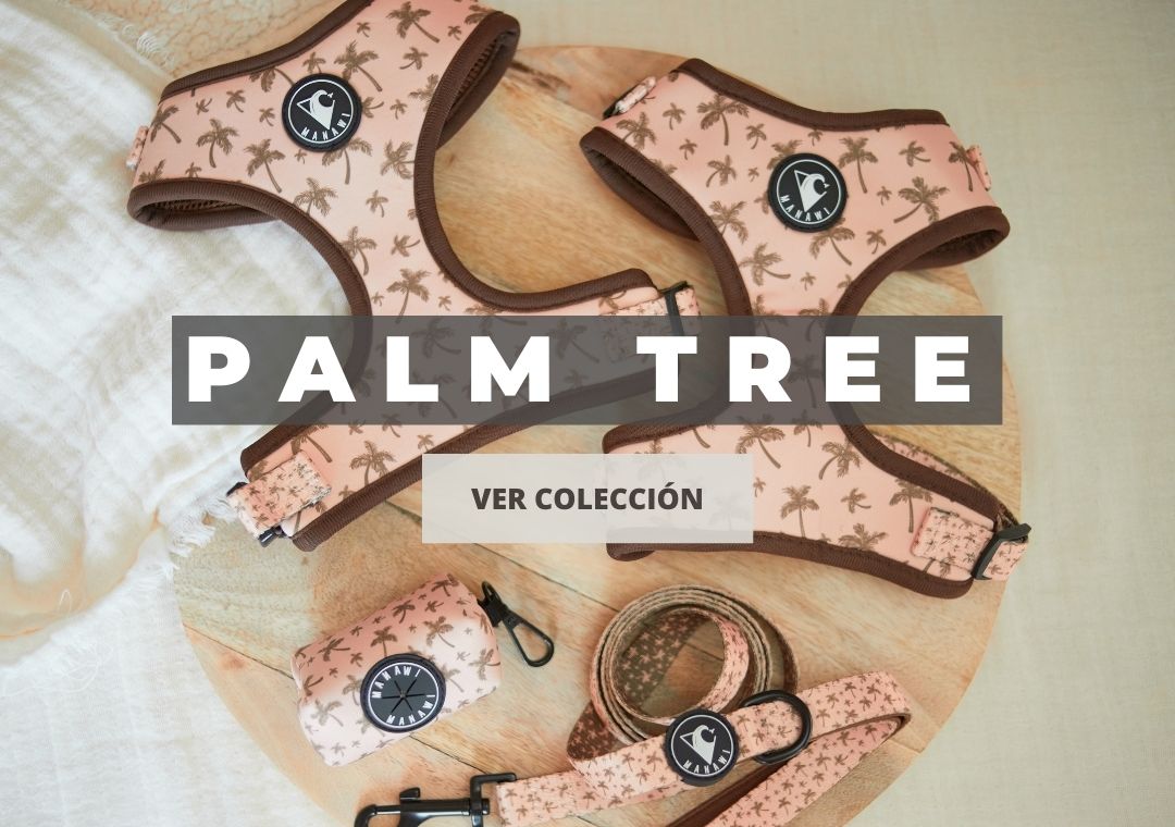 Colección Palm Tree