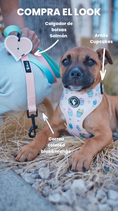 arnés perro ajustable Cupcakes