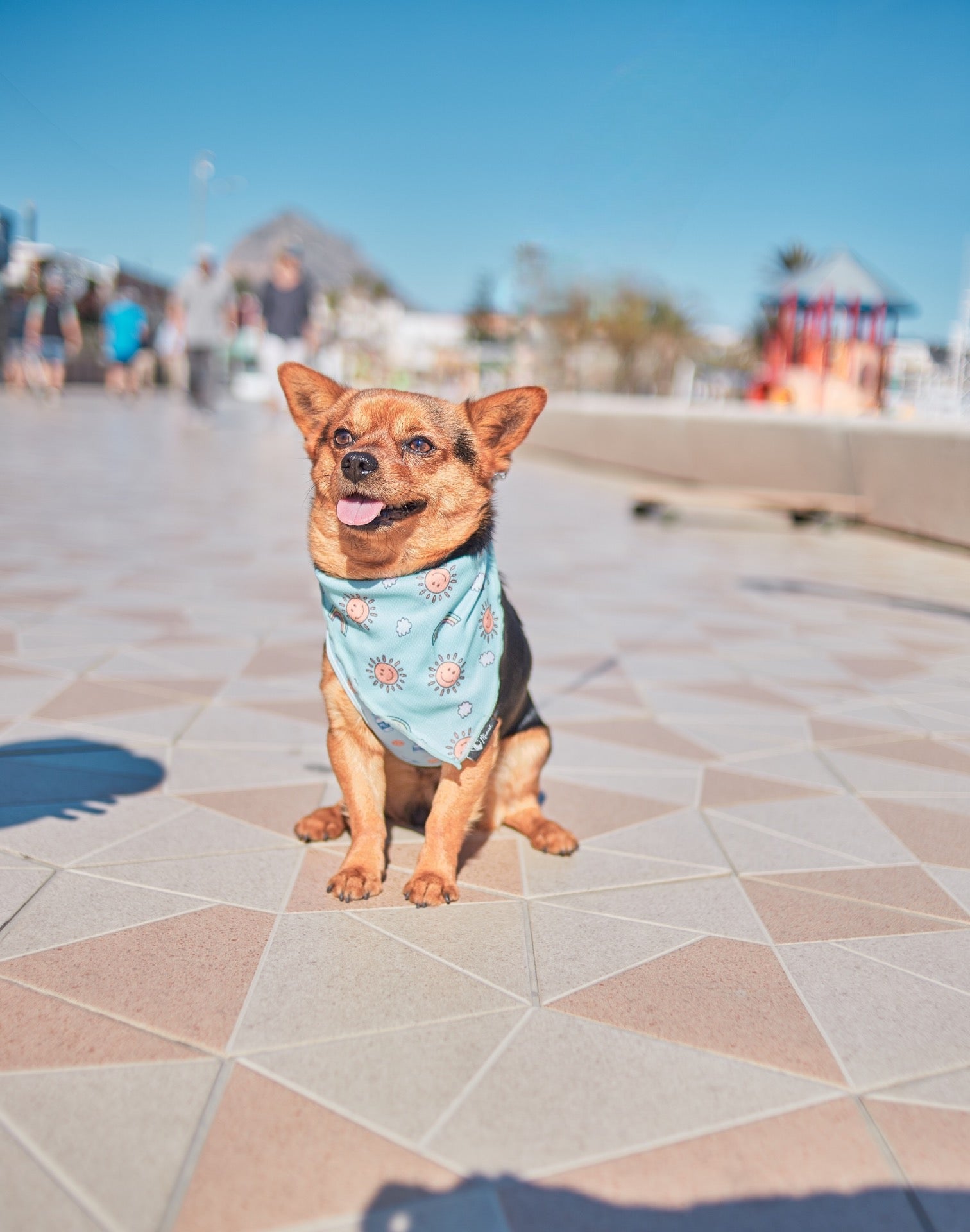 Bandana para perro – Diseño exclusivo colección Happy sun | Manawi