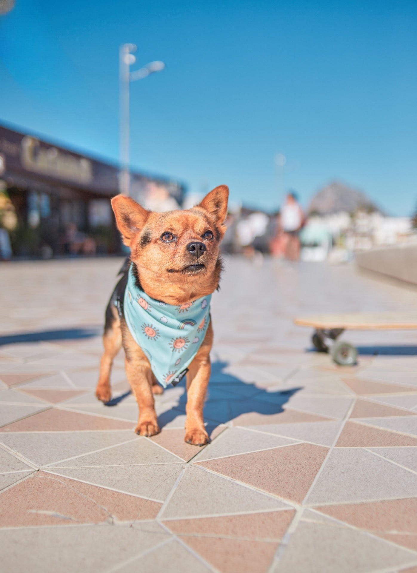 Bandana para perro – Diseño exclusivo colección Happy sun | Manawi