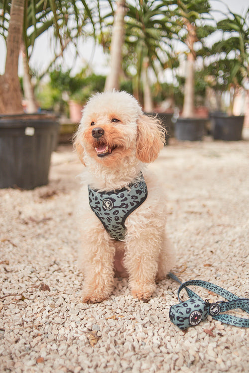 arnés perro ajustable Green Savage