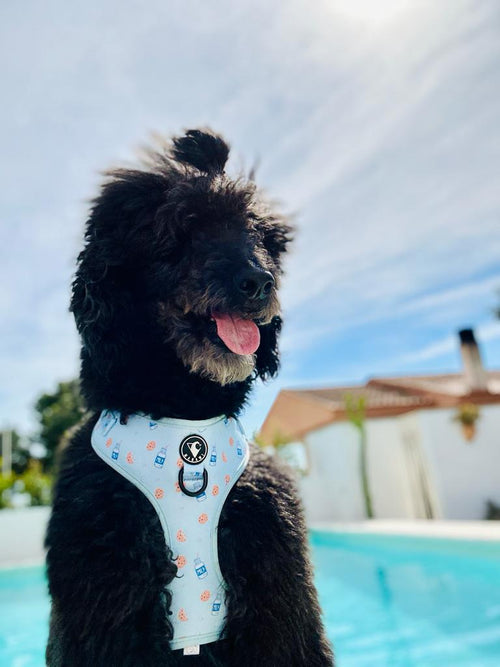 arnés perro ajustable Cookies