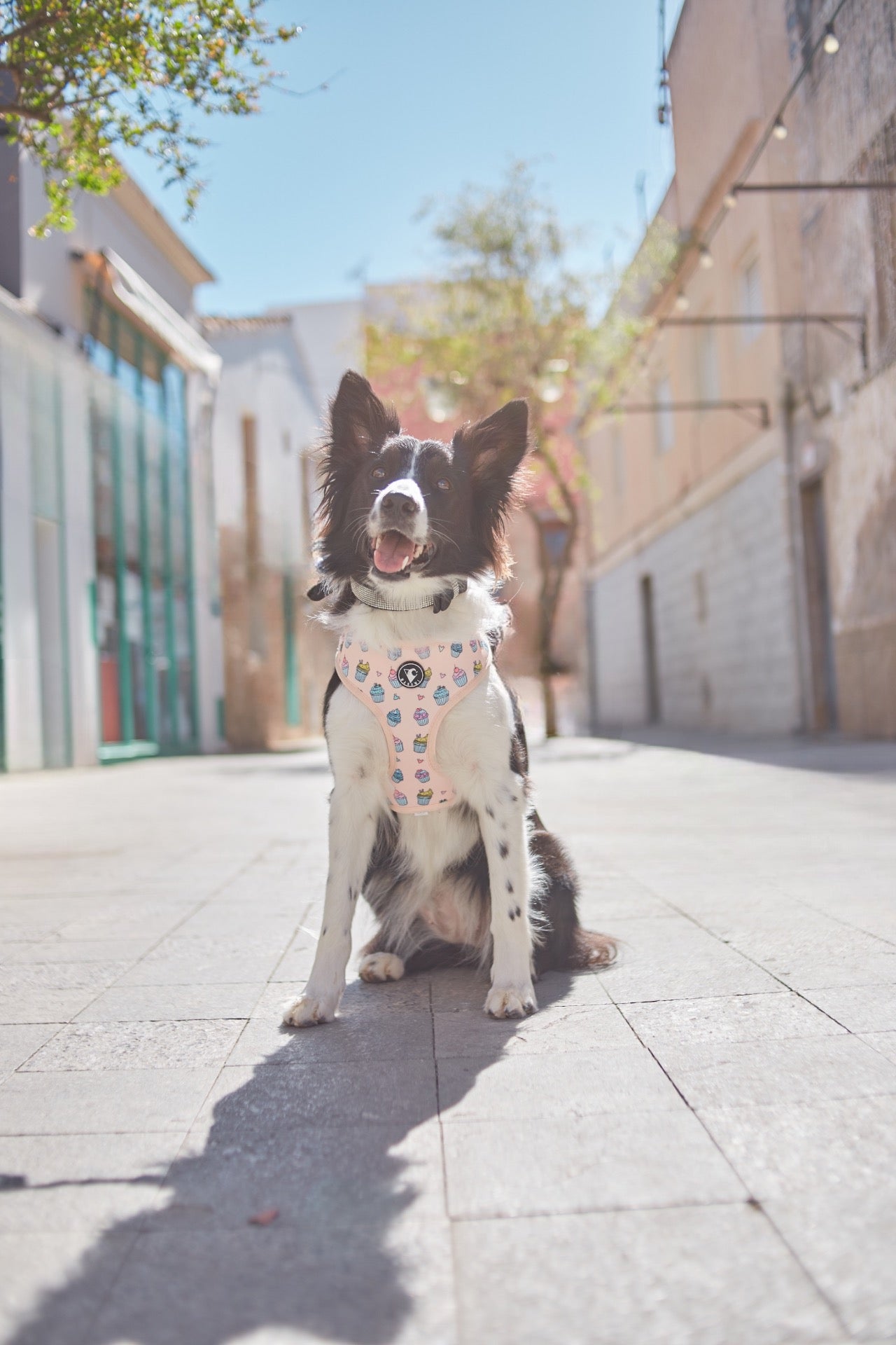 arnés perro ajustable Cupcakes
